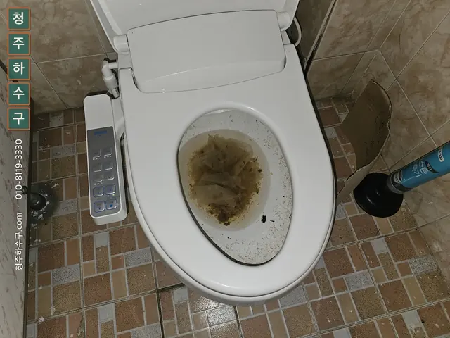 갈색 물이 차오른 변기