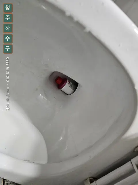 변기 안에 보이는 빨간 물건